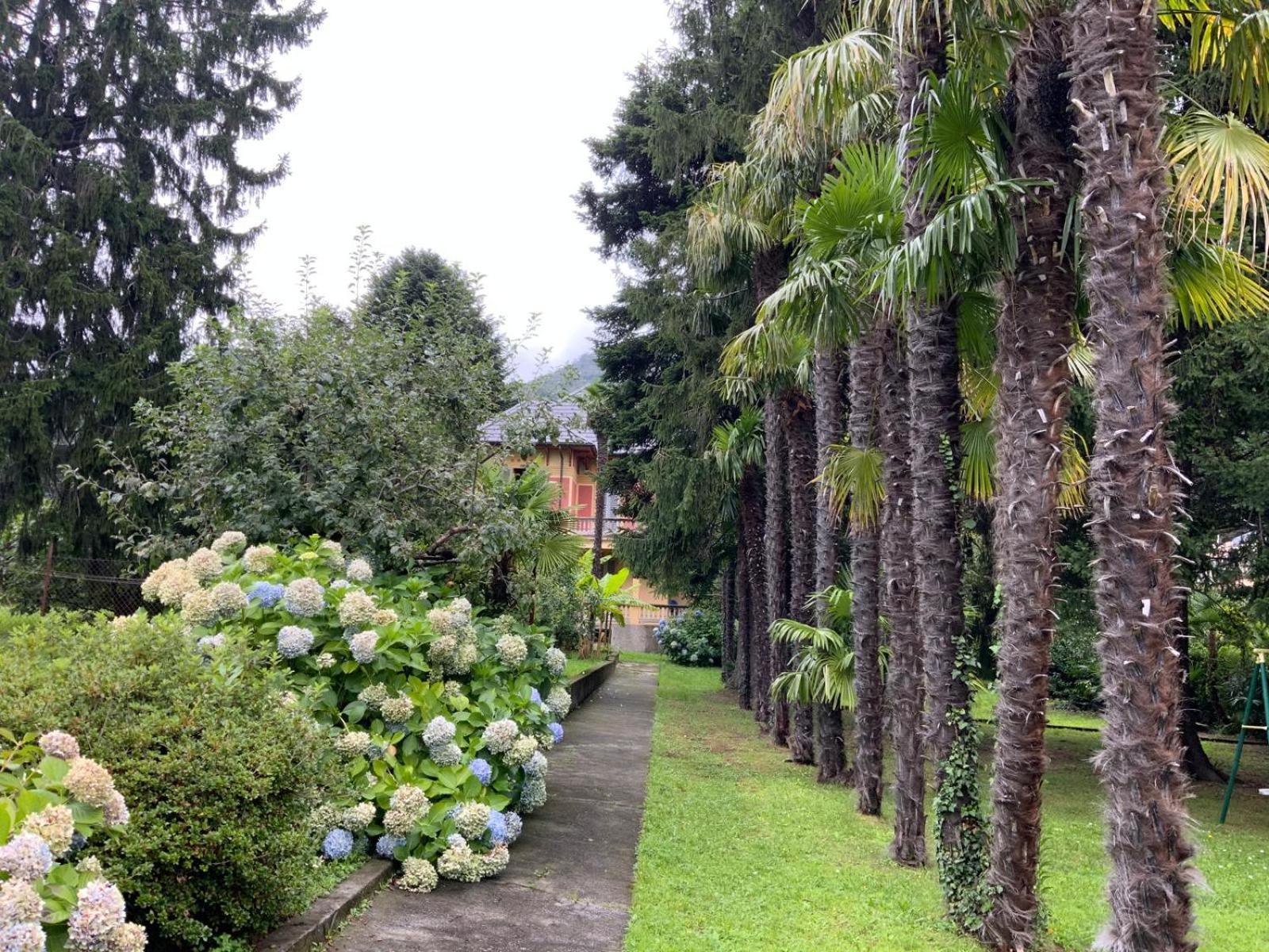 Villa Del Castanar Maccagno Bagian luar foto